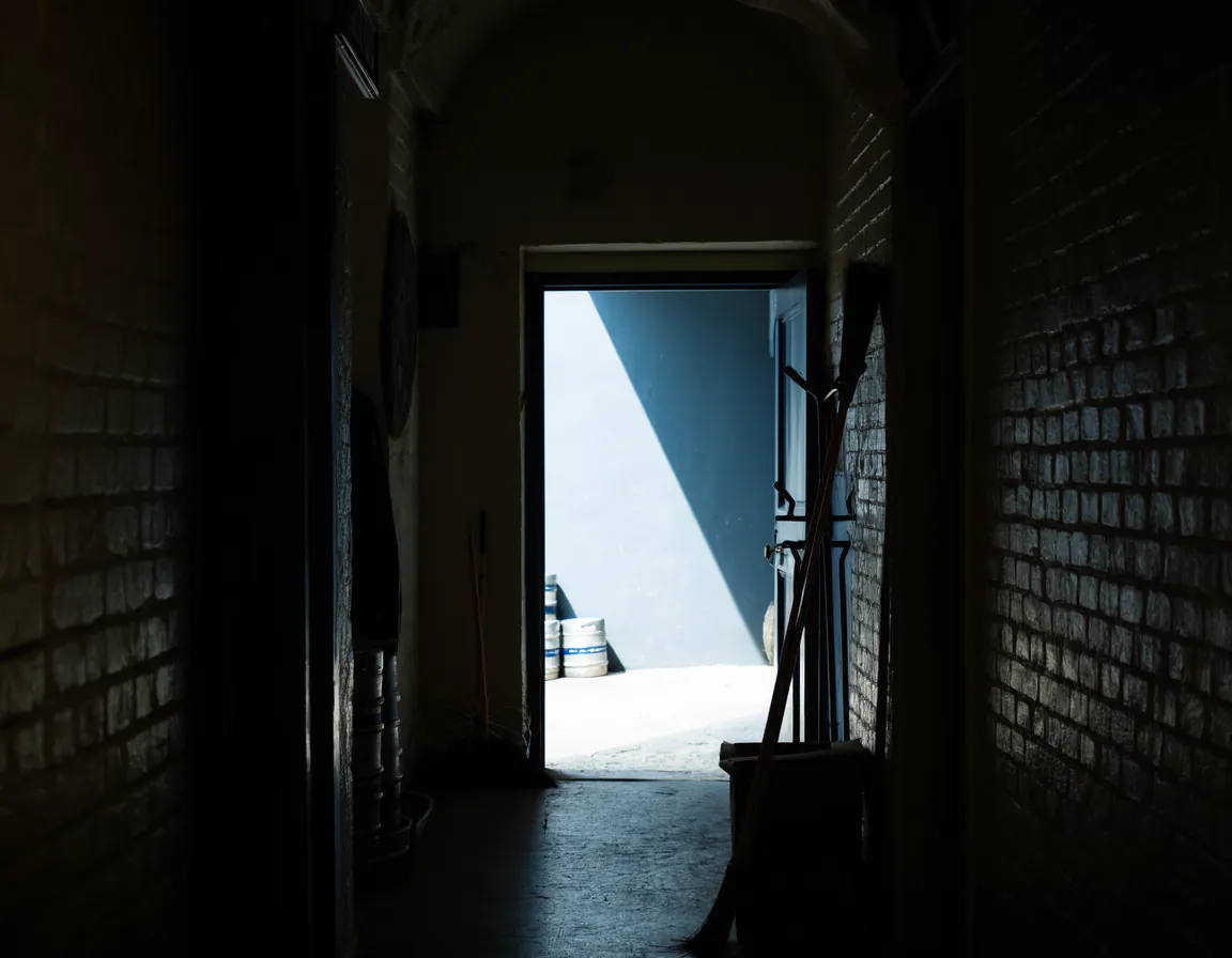 The dim back passage of an old brick pub, daylight falling through an open doorway in a hard-edged corridor across the floor.